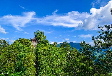 陜西省午子山風(fēng)景名勝區(qū)——票務(wù)翼閘項(xiàng)目