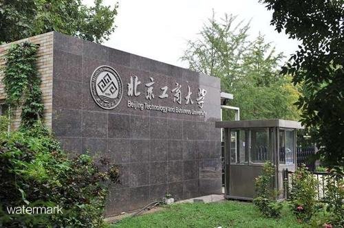 北京重點建設(shè)研究型大學(xué)——北京工商大學(xué)翼閘擺閘項目